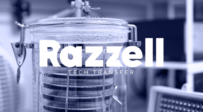 Razzel Proyectos destacados